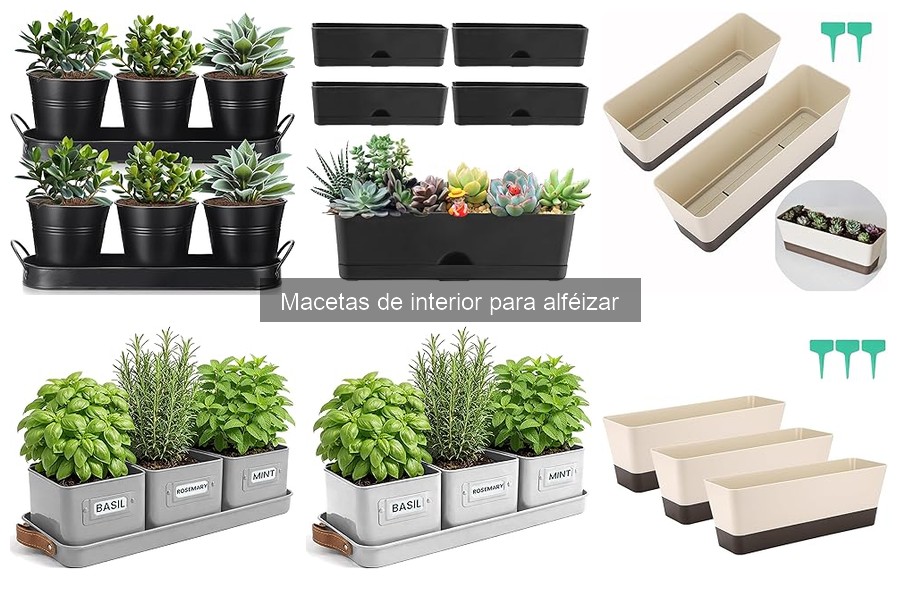 Macetas de Interior para Alféizar: ¿Qué Son y Sus Características?