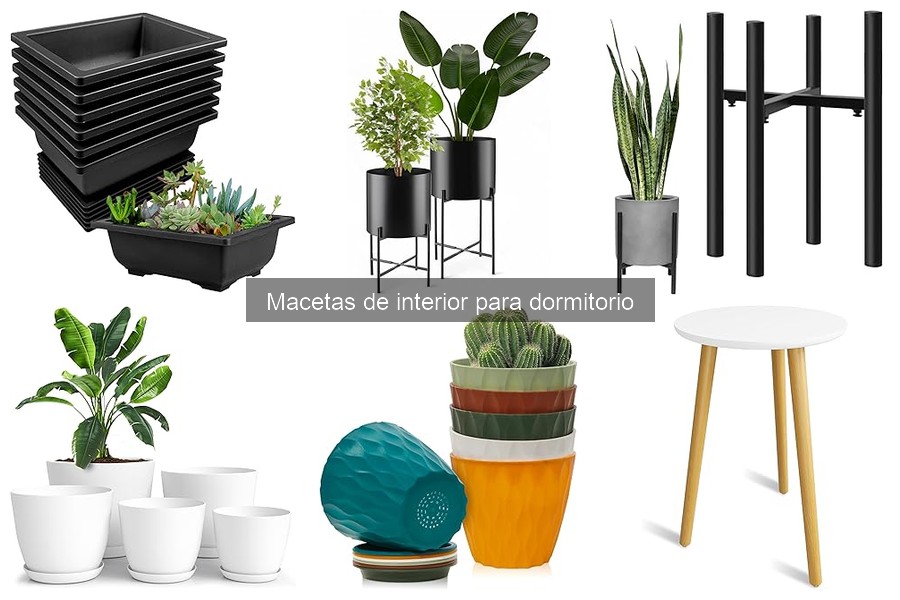 Macetas de Interior para Dormitorio: Decoración y Bienestar