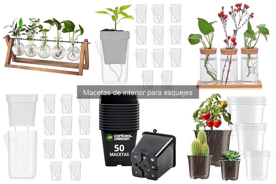 Macetas de Interior para Esquejes: ¿Qué Son y Cómo Usarlas?