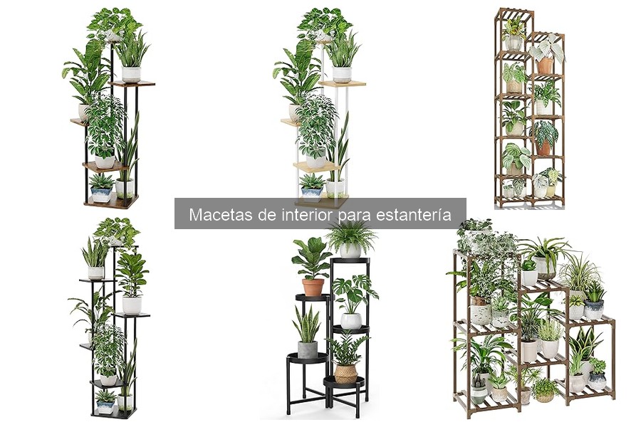 Macetas de interior para estantería: ¿Qué son y sus características?