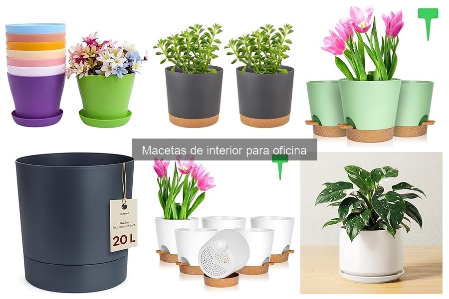 Macetas de Interior para Oficina: Características y Beneficios