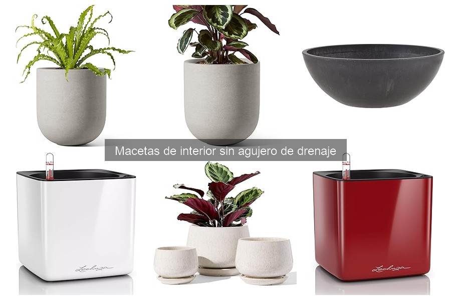 Macetas de Interior sin Agujero de Drenaje: Características y Ventajas