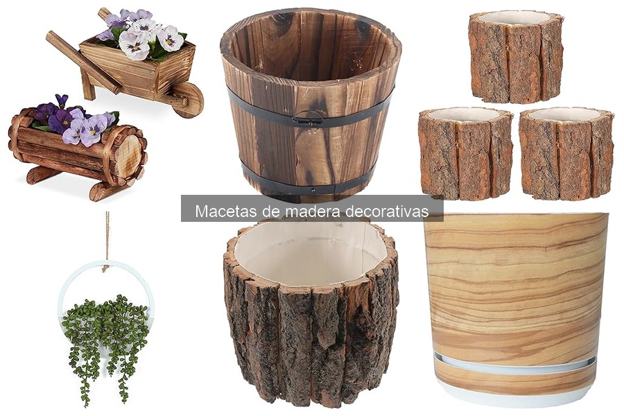 Macetas de Madera Decorativas: ¿Qué Son y Sus Beneficios?