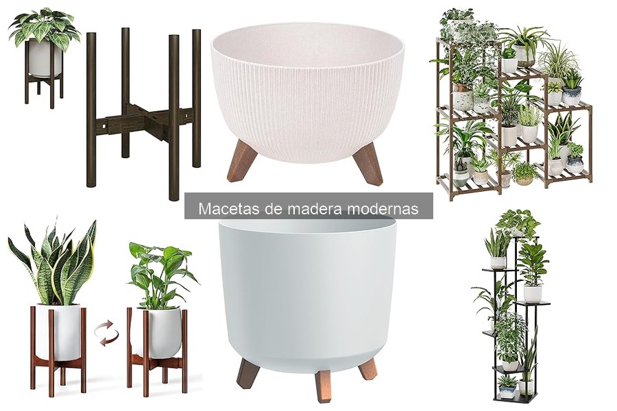 Macetas de madera modernas: ¿Qué son y sus beneficios?
