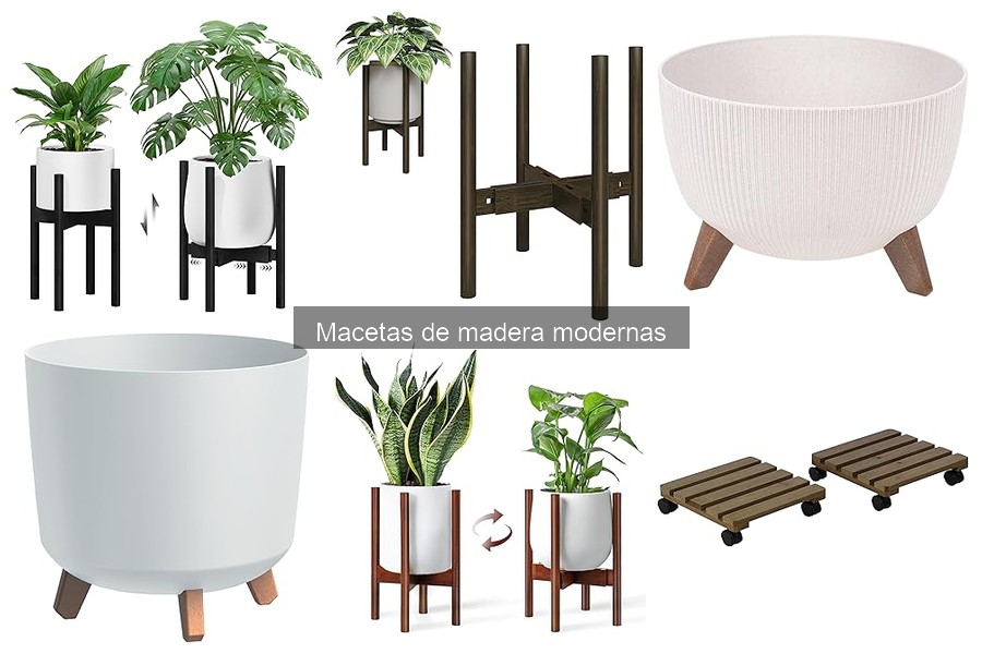 Macetas de Madera Modernas: ¿Son Adecuadas para Exteriores?