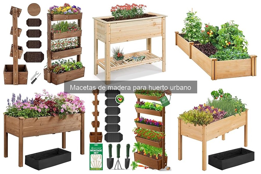 Macetas de madera: ¿Son adecuadas para todas las plantas?