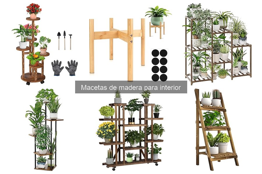 Macetas de Madera: ¿Son Realmente Sostenibles?