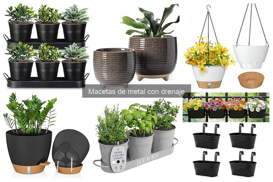 Macetas de metal con drenaje para tus plantas específicas