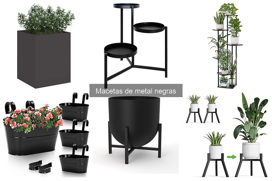 Macetas de Metal Negras: ¿Son Seguras para tus Plantas?