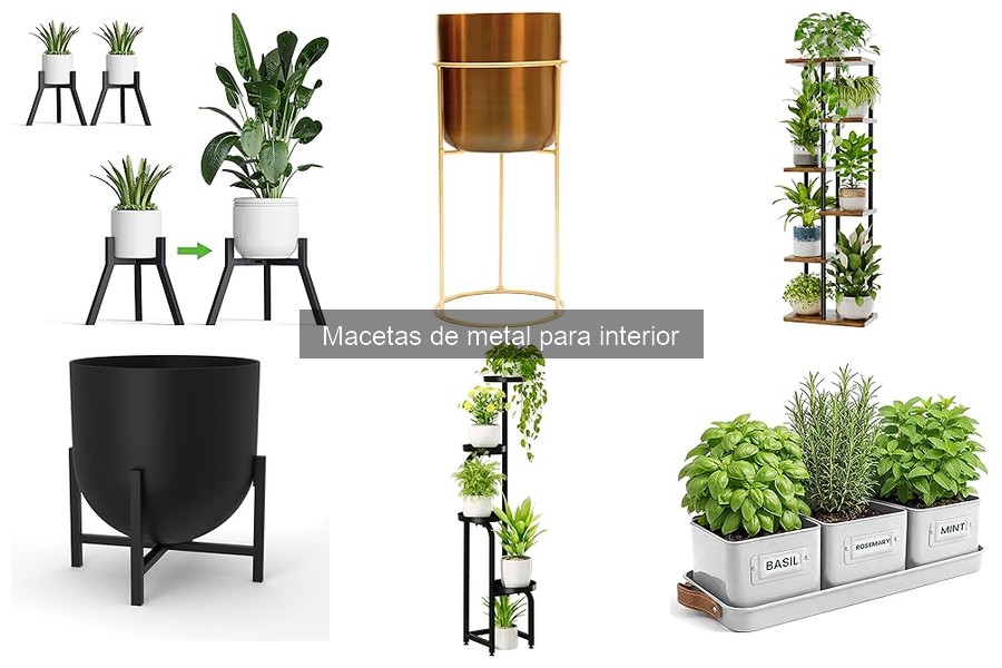 Macetas de metal para interior: características y beneficios