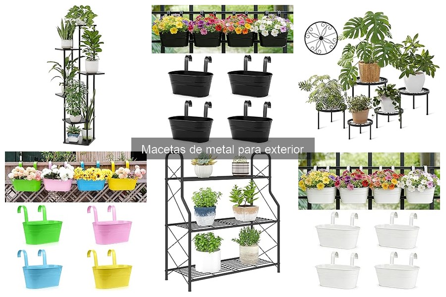 Macetas de Metal: Seguridad para Plantas Comestibles