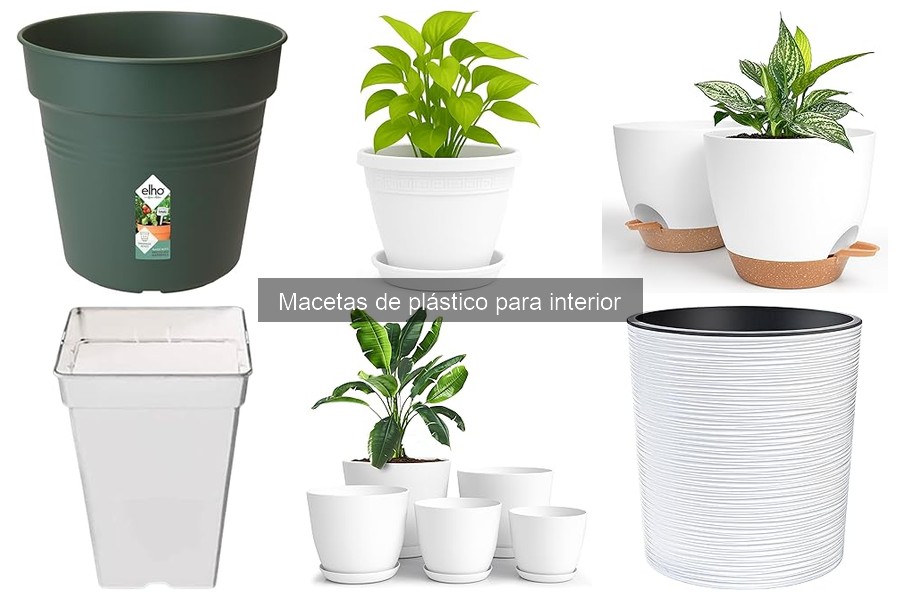 Macetas de plástico para interior: Características y beneficios