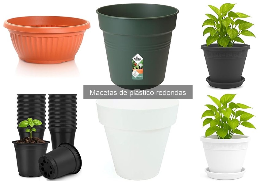 Macetas de Plástico Redondas: Todo lo que Debes Saber
