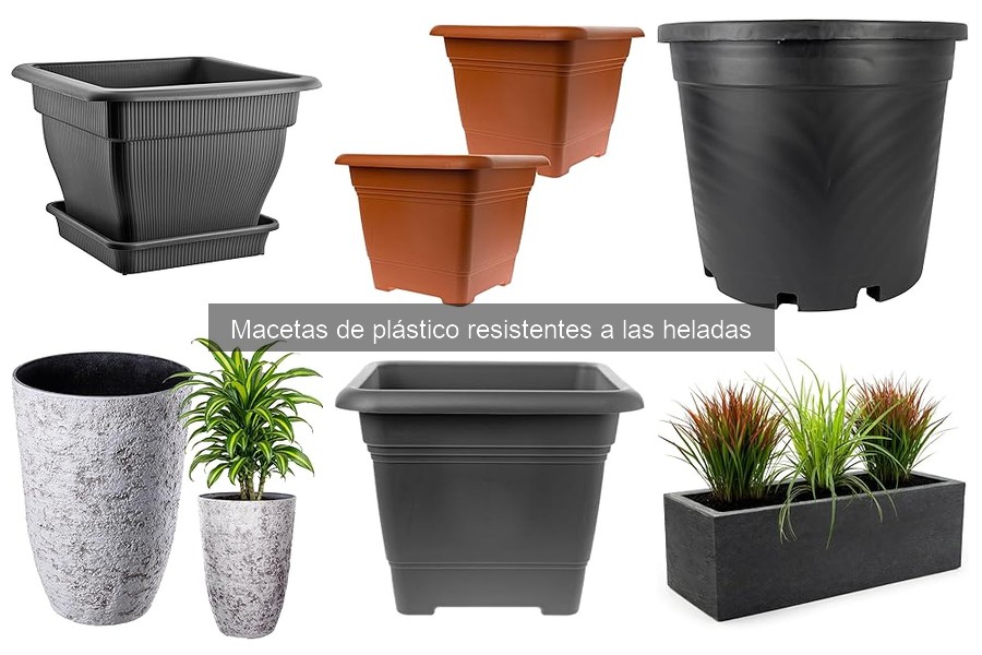 Macetas de plástico resistentes a las heladas: características y beneficios
