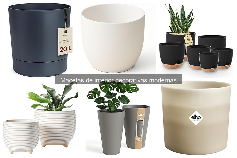 Macetas Decorativas Modernas de Interior: Características y Beneficios