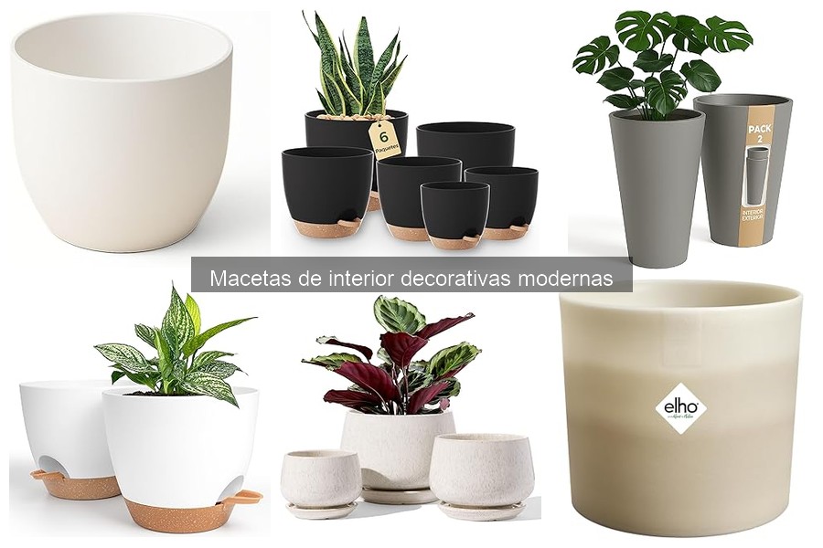Macetas decorativas modernas que transforman tu hogar