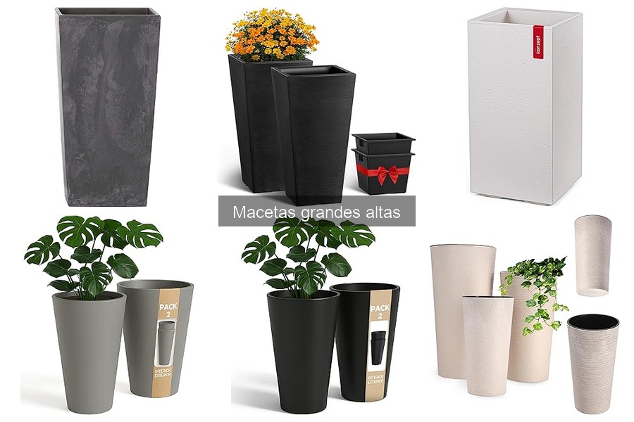 Macetas grandes altas para plantas específicas: Guía práctica