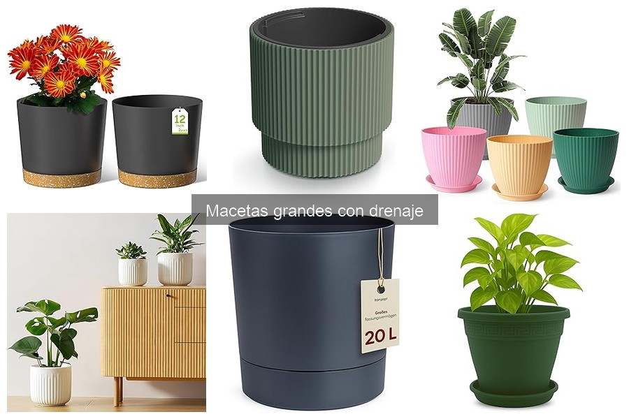 Macetas grandes con drenaje: beneficios y características