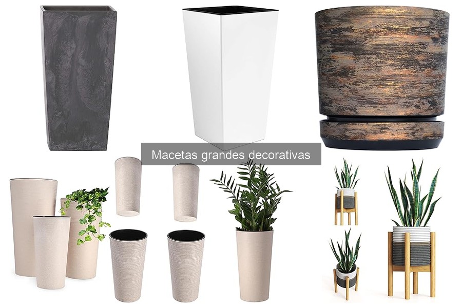 Macetas Grandes Decorativas: Definición y Función