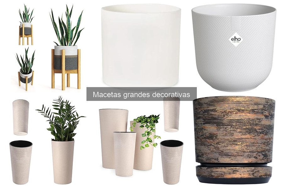 Macetas Grandes Decorativas para Espacios Pequeños
