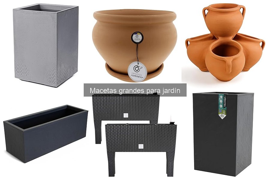 Macetas grandes ideales para cactus y otras plantas