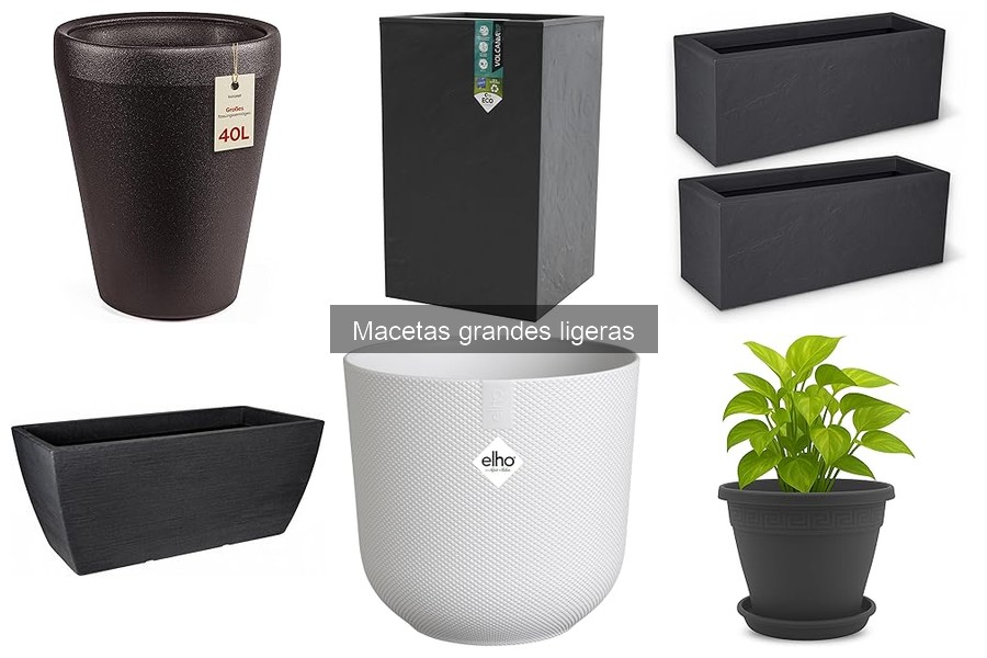 Macetas Grandes Ligeras: ¿Son Adecuadas para Todas las Plantas?