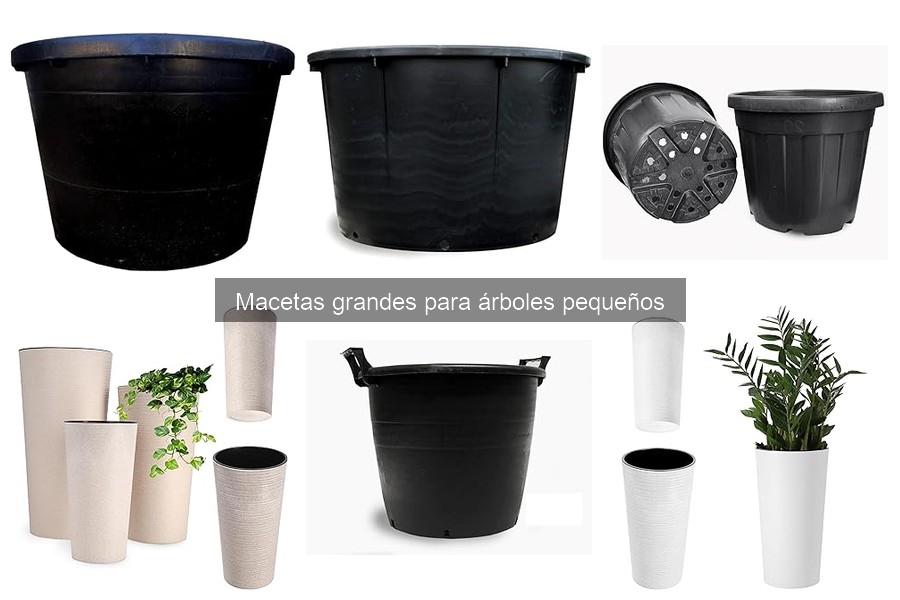 Macetas Grandes para Árboles Pequeños: Características y Tipos