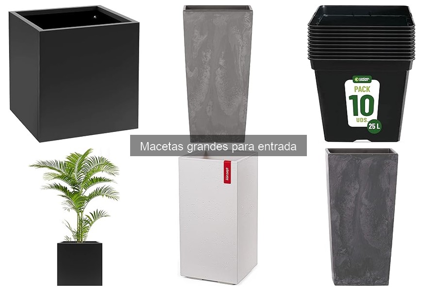 Macetas Grandes para Entrada: Características y Usos