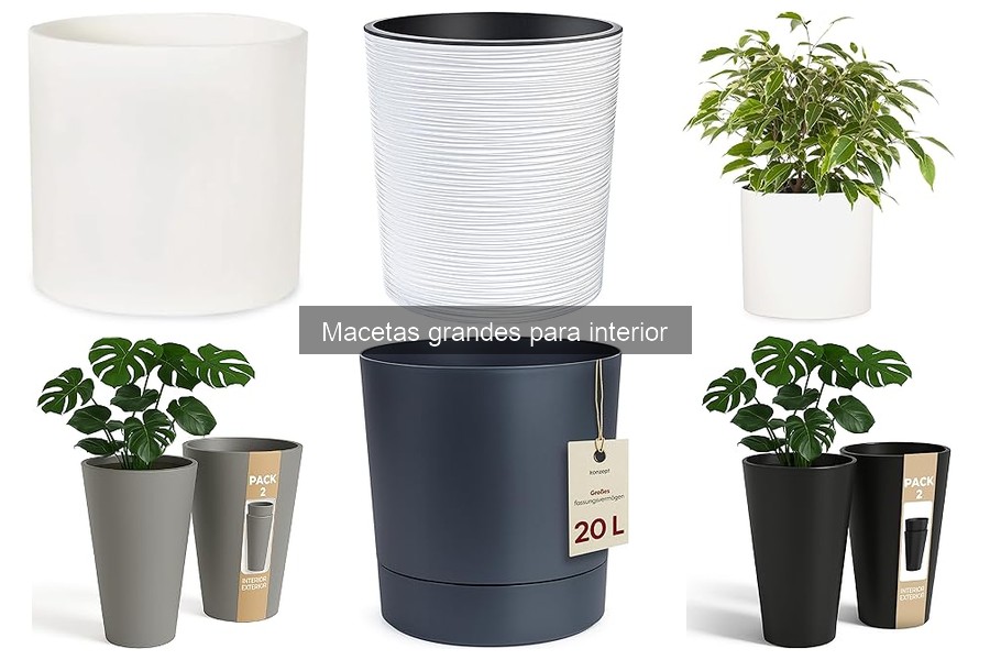Macetas grandes para interior: características y usos