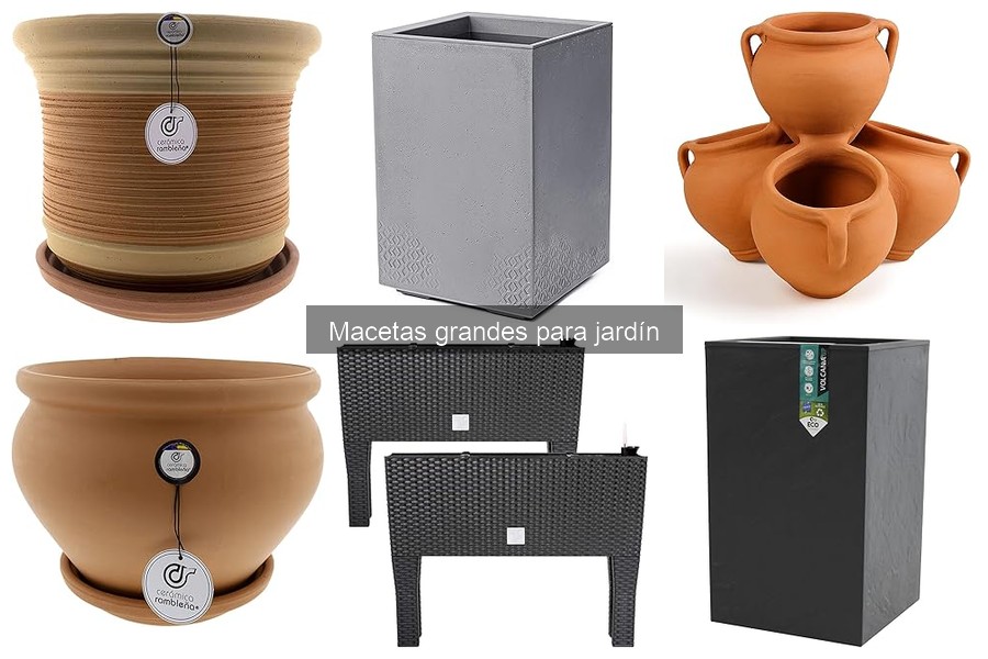 Macetas Grandes para Jardín: Concepto y Beneficios