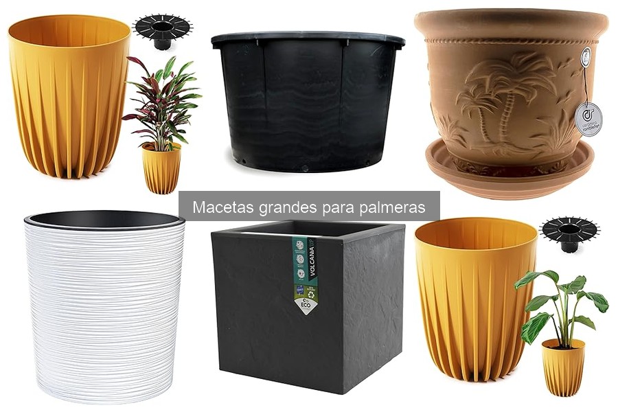Macetas Grandes para Palmeras: Características y Tipos