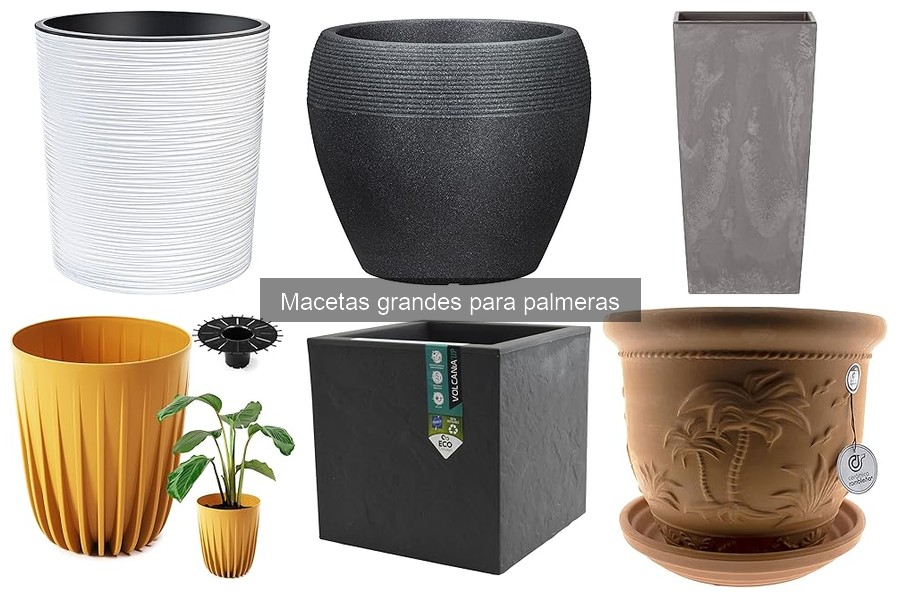 Macetas grandes para palmeras resistentes a la intemperie