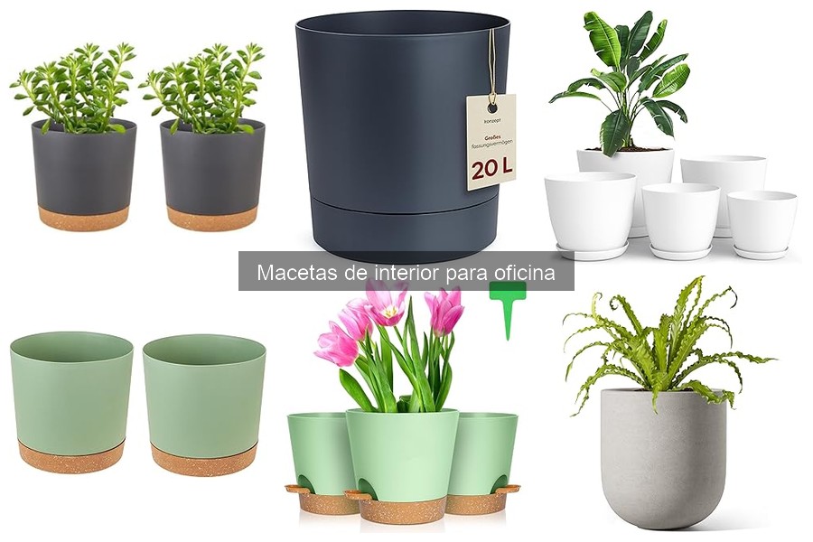 Macetas modernas para oficina: diseño y estilo en tu espacio
