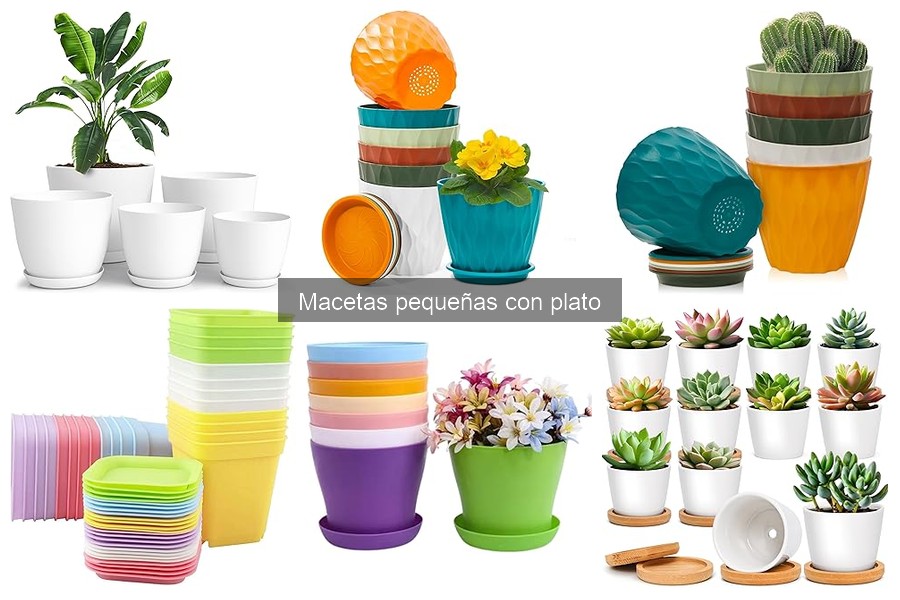 Macetas pequeñas con plato: características y ventajas