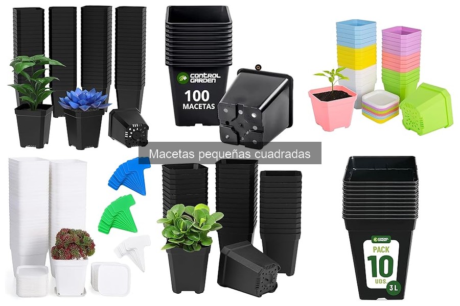 Macetas pequeñas cuadradas: mejores lugares para comprarlas