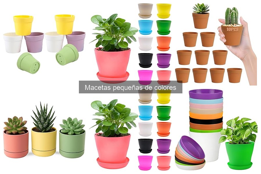 Macetas pequeñas de colores: Seguridad para tus plantas