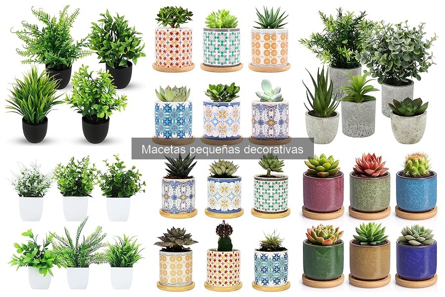 Macetas pequeñas decorativas baratas: dónde comprarlas
