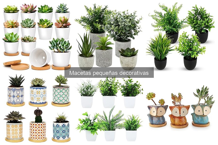 Macetas pequeñas decorativas: características y uso