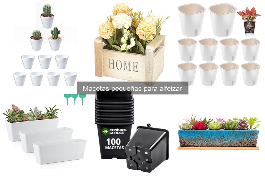 Macetas Pequeñas Ideales para Alféizares: Guía Práctica
