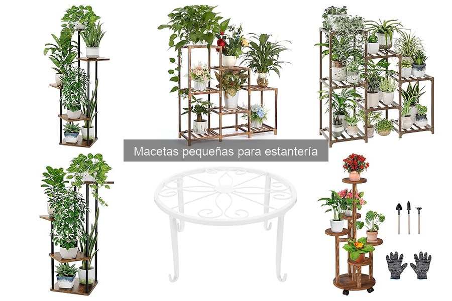Macetas pequeñas ideales para estanterías: tipos y características