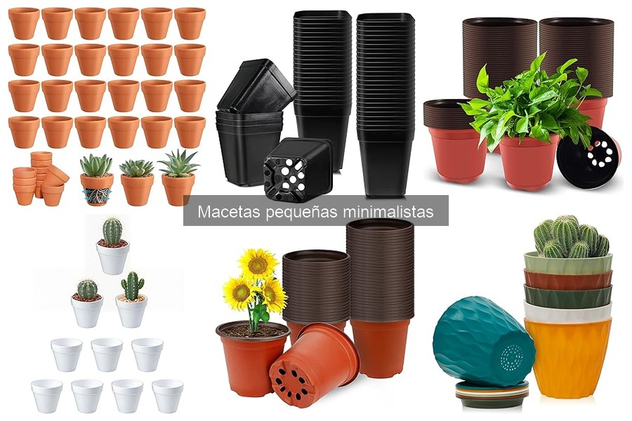 Macetas Pequeñas Minimalistas: Diseño y Características