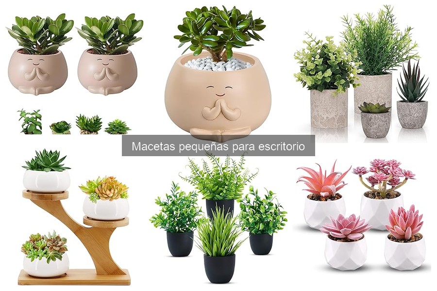 Macetas pequeñas para escritorio: ideas para espacios reducidos