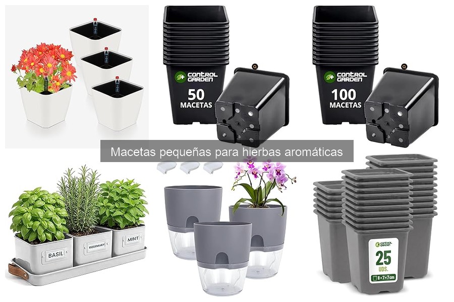 Macetas Pequeñas para Hierbas Aromáticas: ¿Qué Son y Usos?