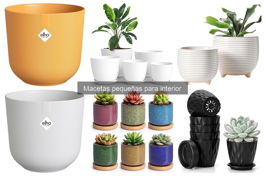 Macetas pequeñas para interior: características y beneficios