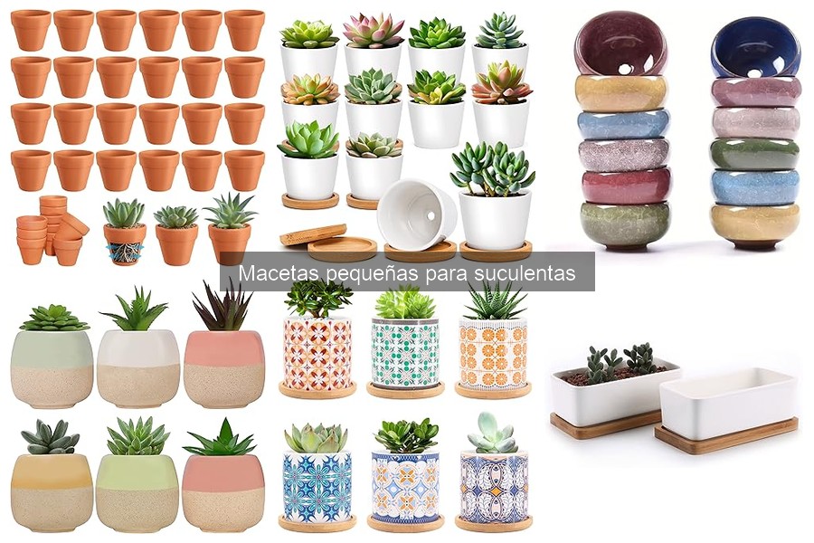Macetas pequeñas para suculentas: características y consejos