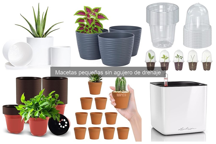 Macetas pequeñas sin agujero de drenaje: ¿Qué son y ventajas?