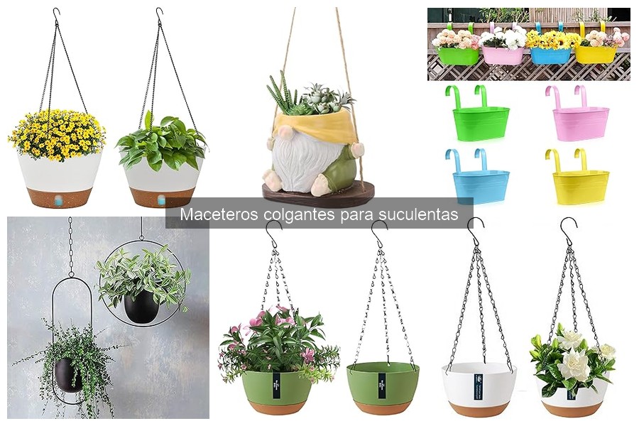 Maceteros colgantes para suculentas en exteriores: ¿recomendables?