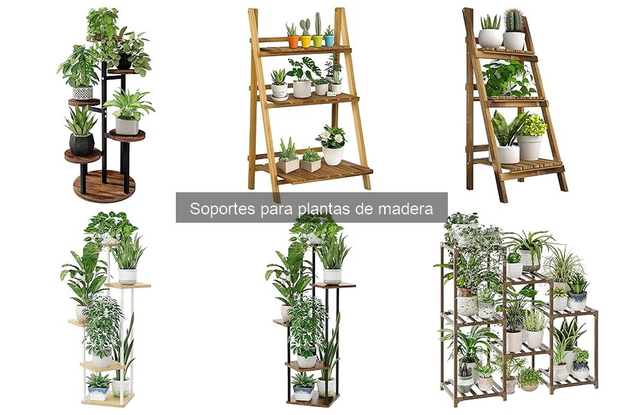 Madera vs Plástico: ¿Cuál es el mejor soporte para plantas?