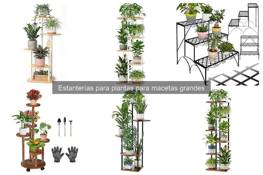 Mantén tus estanterías para plantas en perfecto estado
