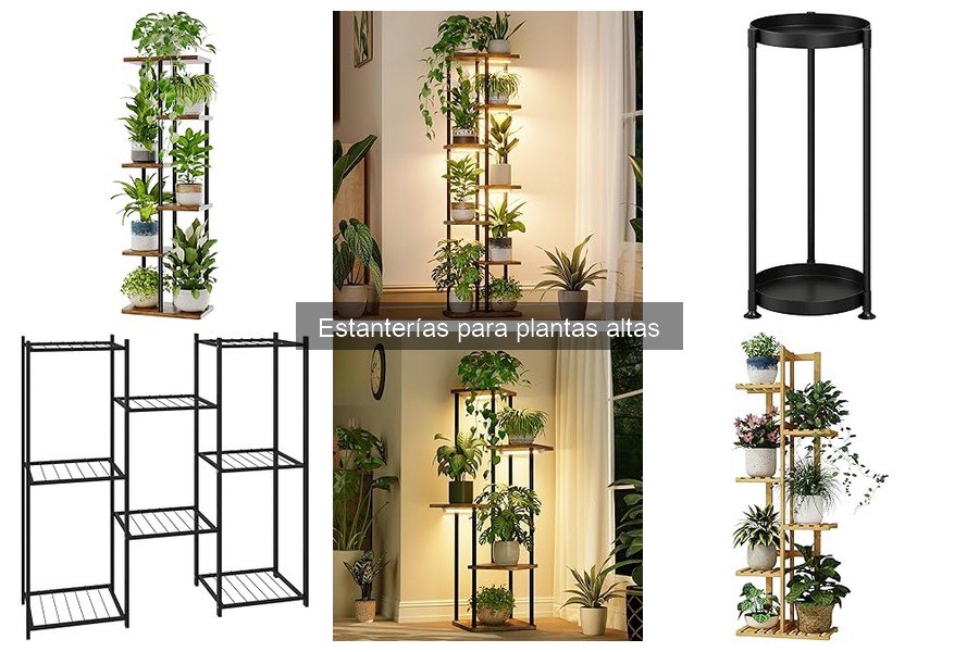 Mantenimiento de estanterías para plantas altas: Consejos útiles